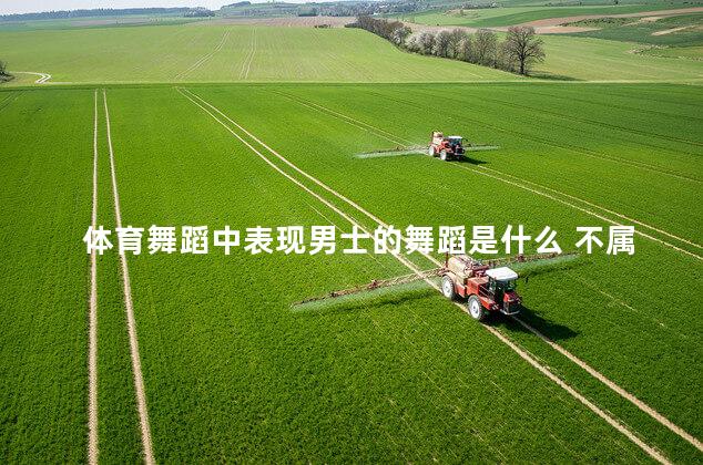体育舞蹈中表现男士的舞蹈是什么 不属于体育舞蹈欣赏的是
